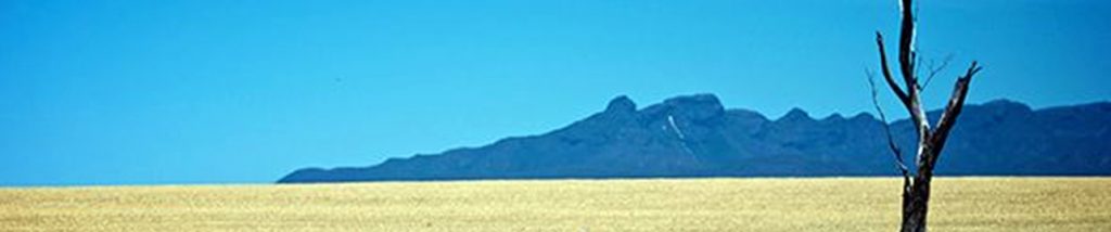 Gnowangerup Banner